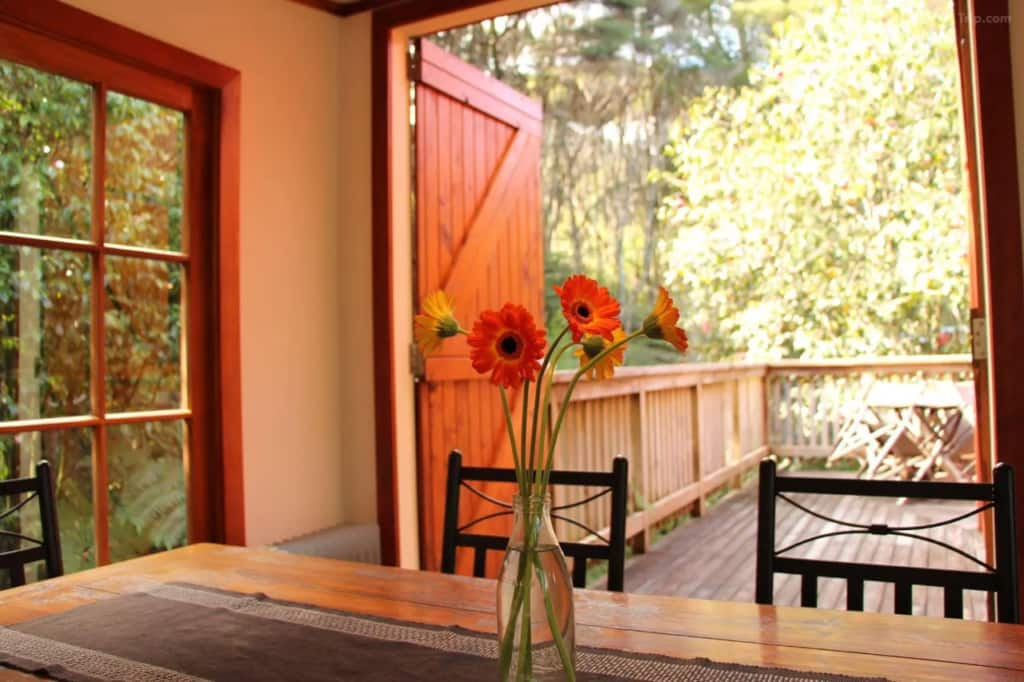 The Coromandel Treehouse Motel