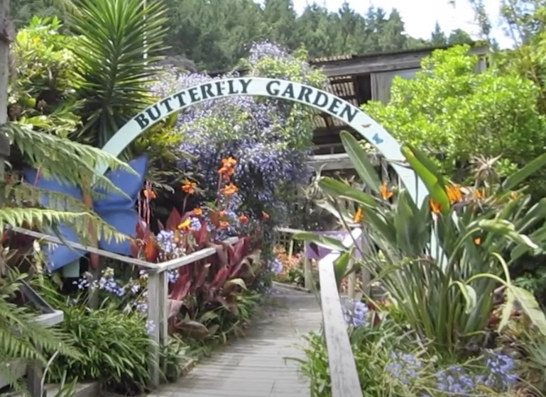 Butterfly and Orchid Garden