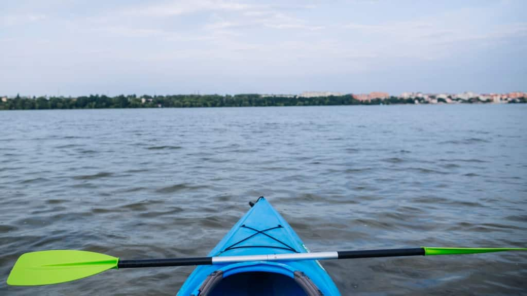 Kayak