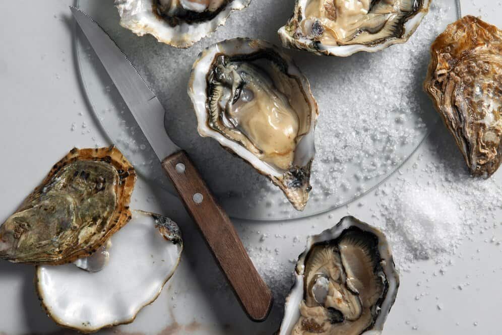 Oysters