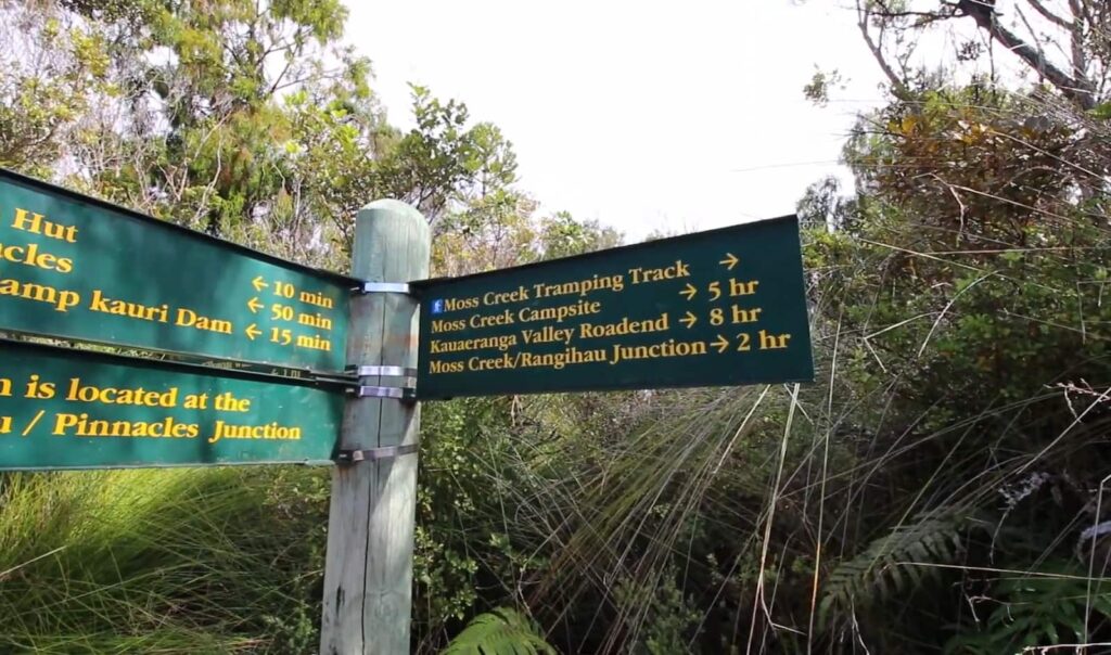 A signpost in a lush forest points to various hiking tracks and times